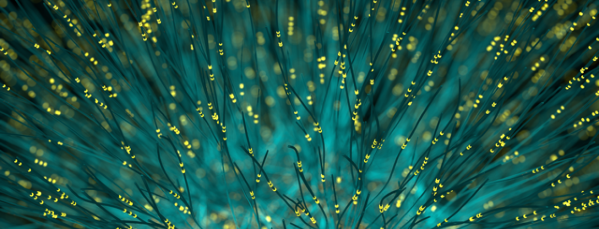 Fiber Optic Cables Light Medium