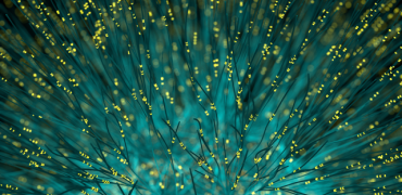 Fiber Optic Cables Light Medium